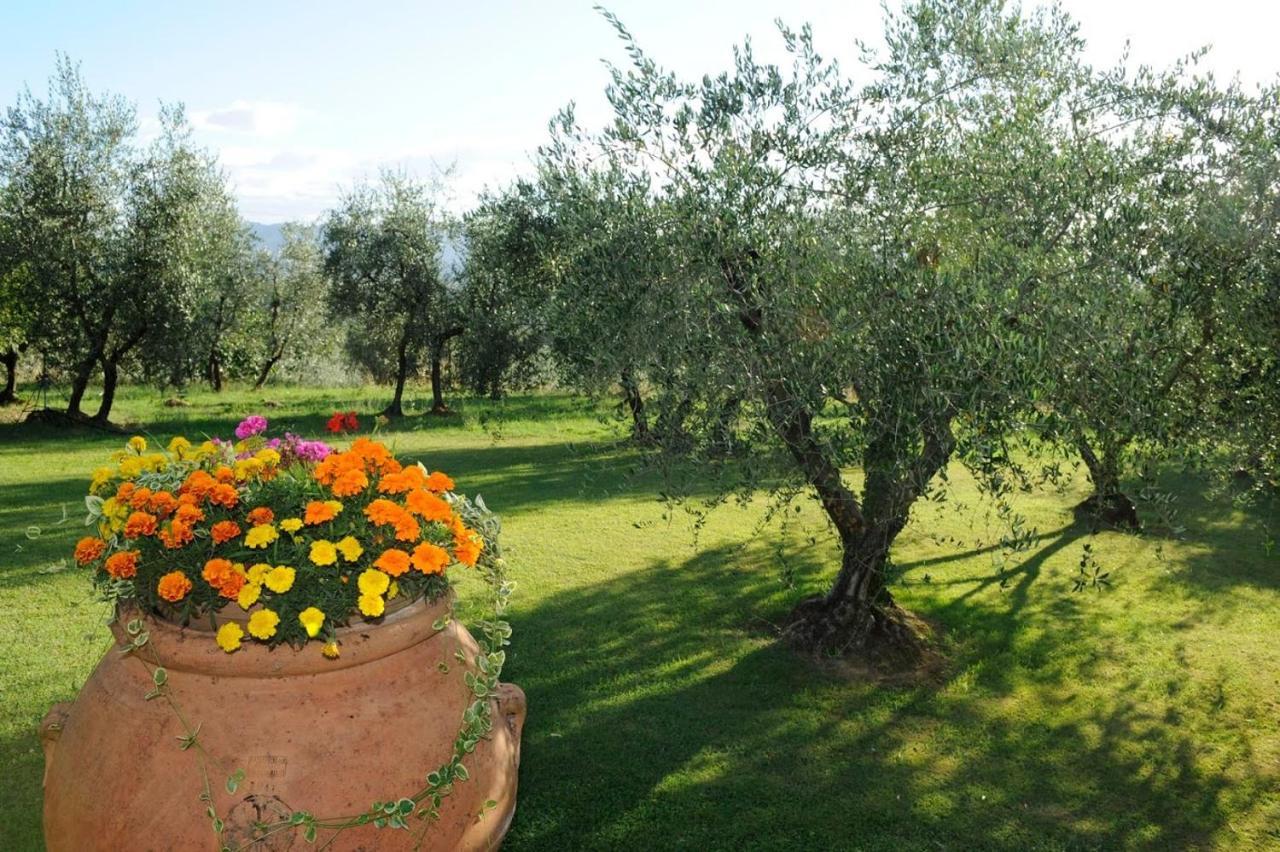 Agriturismo Bellosguardo Reggello Eksteriør bilde